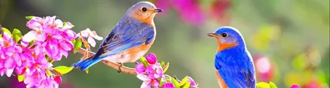 Bild blauer Hintergrund