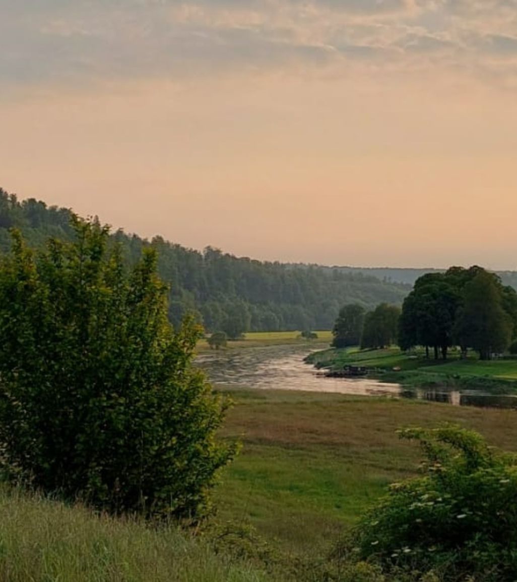 Auf dem Foto eine Landschaft mit See, Wiese und grünen Bäumen zu sehen